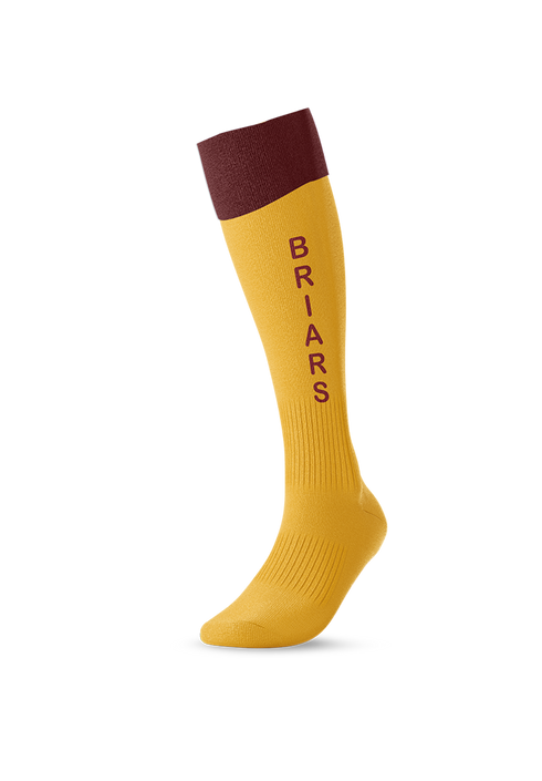 Briars Playing Socks