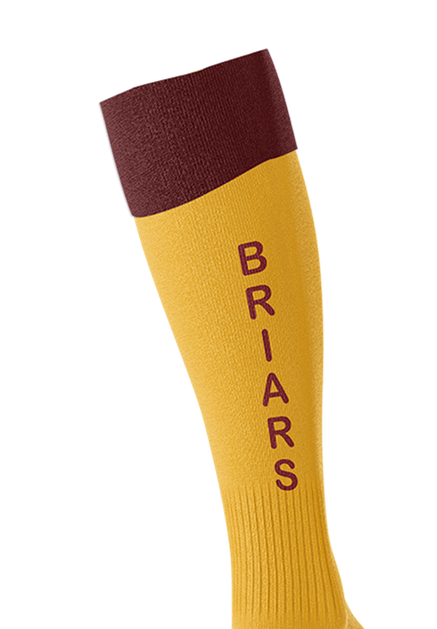 Briars Playing Socks