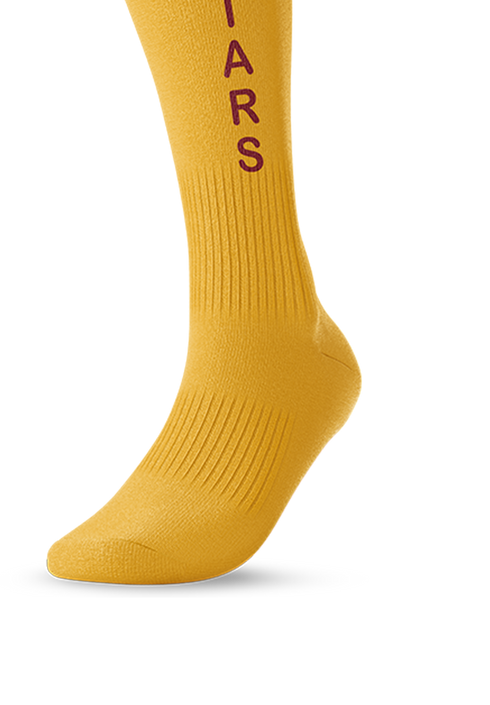 Briars Playing Socks