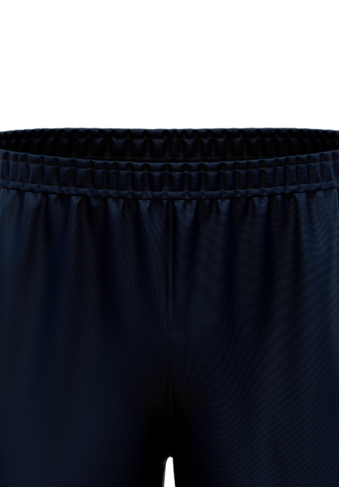 Subs Lions Mens Playing Shorts