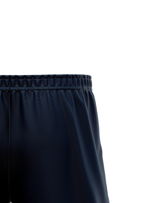 Subs Lions Mens Playing Shorts