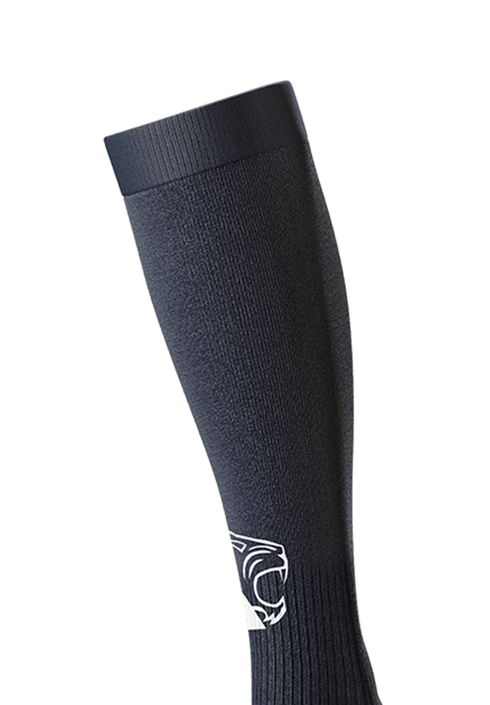 Subs Lions Socks Navy (Alternative Colour)