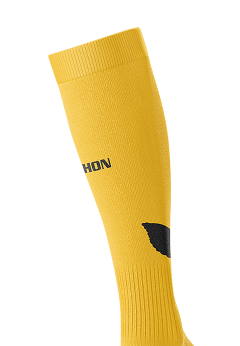 Gryphon HWA Playing Socks Gold