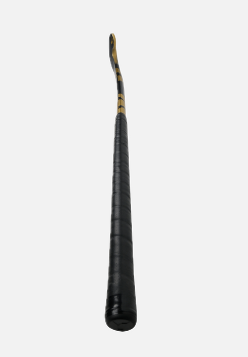 Y1 MR X2 - Scandi